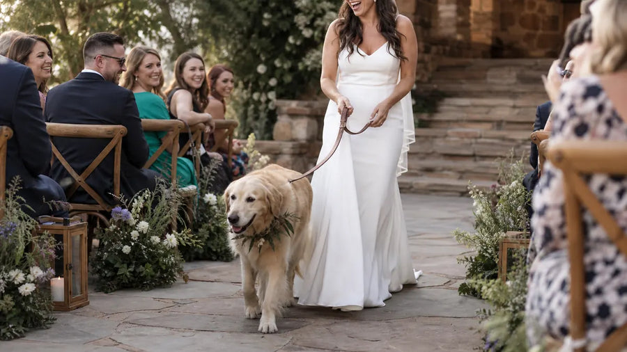 Pet at Wedding Ideas by Pet Type (Roles + Logistics)