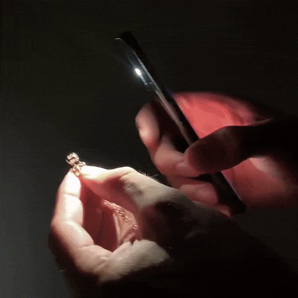 projection jewelry